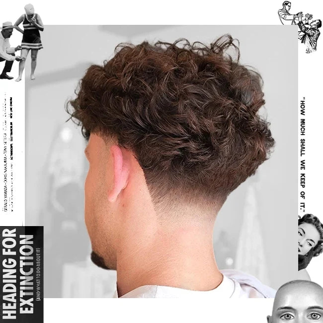 Man with Enhanced Curls with a Low Taper